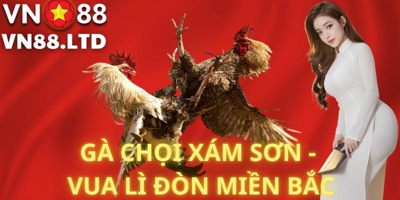 Khám Phá n88bet - Nơi Giao Thoa Giữa Giải Trí và Cơ Hội Kiếm Tiền